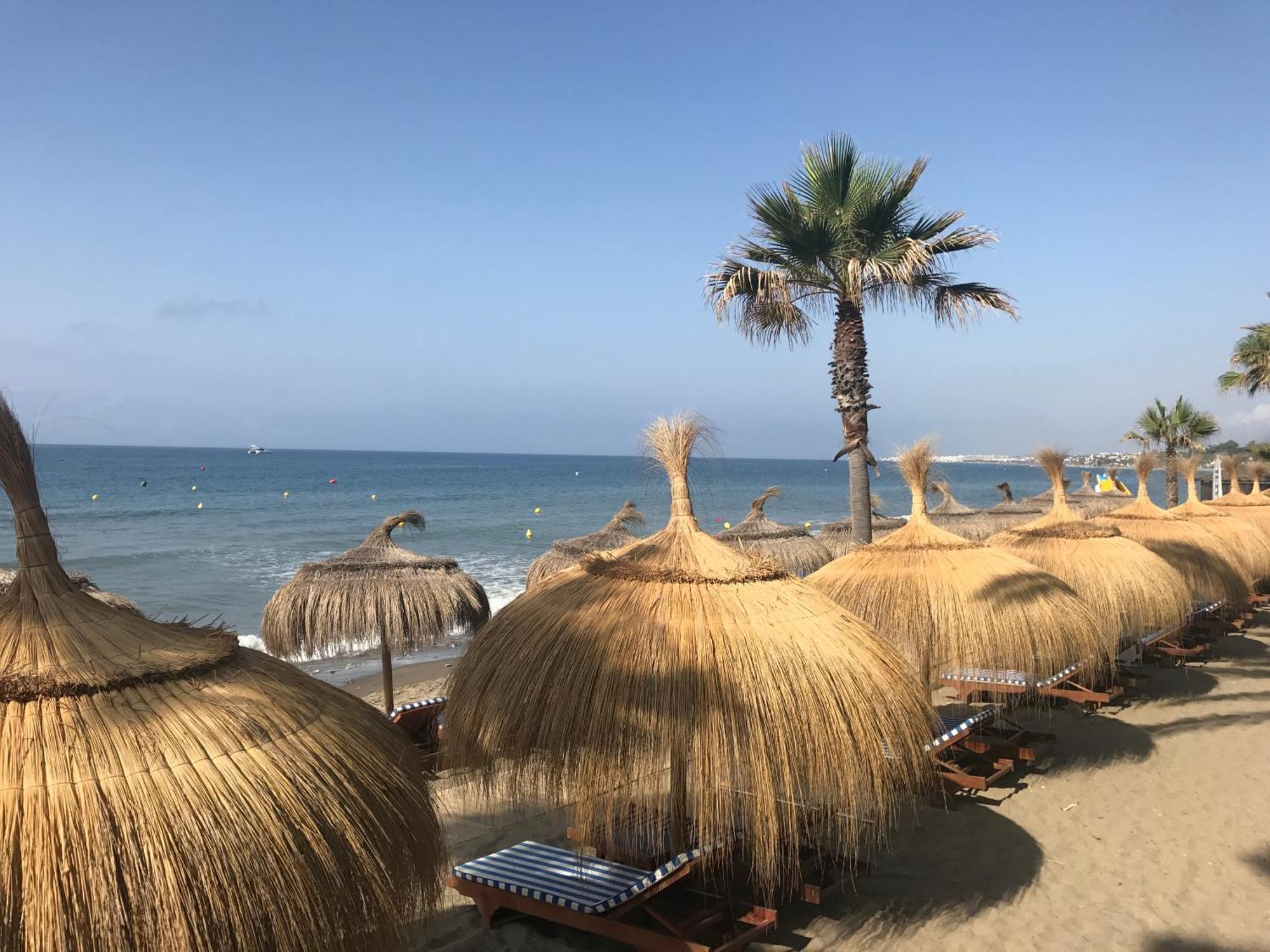 Charming First Line Estudio In Apartment Marbella